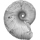 06_portfolio_palaeontologie_evolution