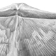 Armfüßer