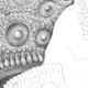 Fossiler Seeigel