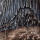 Haizahn