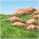 Flusslandschaft_2