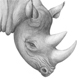 Spitzmaulnashorn