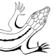 Tiersymbole
