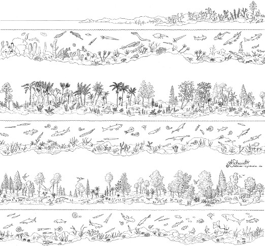 Evolution des Lebens