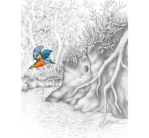 Auenlandschaft mit Eisvogel
